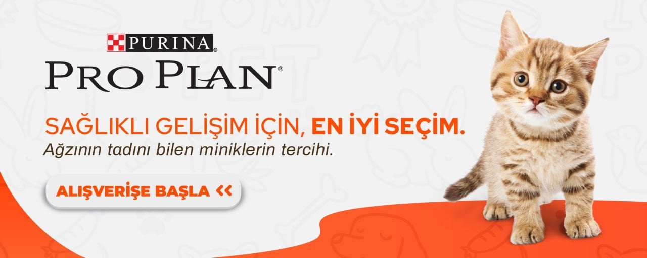 proplan kedi mama