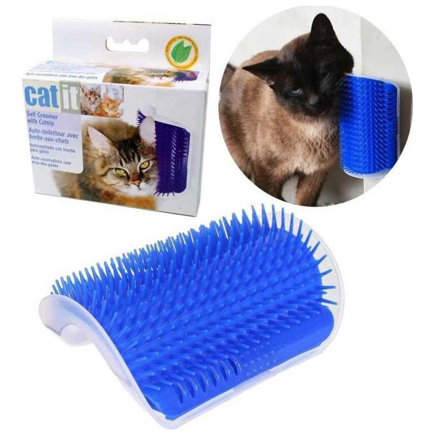 Catit Kedi Kaşıma