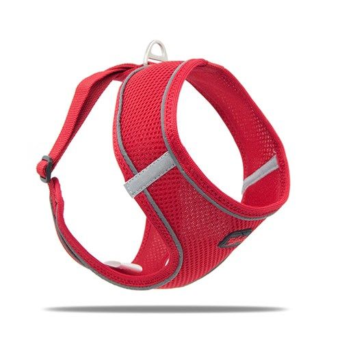 Tailpetz Harness S Kırmızı Göğüs Tasması