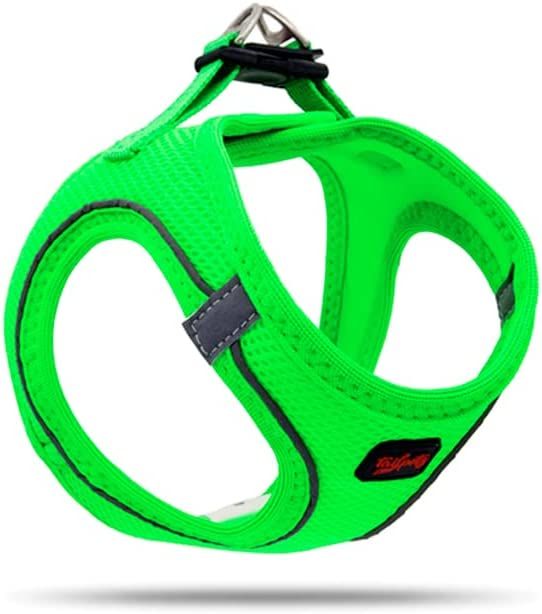 Tailpetz Harness S Yeşil Göğüs Tasması