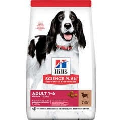 Hills Lamb Kuzu Etli Yetişkin Köpek Maması 2,5 Kg