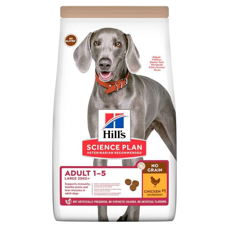 Hills No Grain Large Tavuk Etli Tahılsız Büyük Irk Köpek Maması 12 Kg