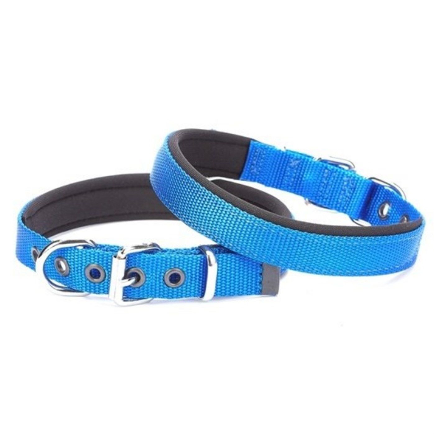 Doggie ADBT2510M Royal Blue Boyun Tasması