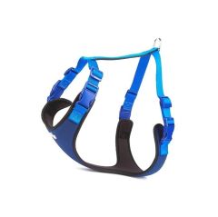 Doggie AJNG10XL Blue