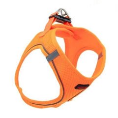 Tailpetz Turuncu Göğüs Tasması (XL)