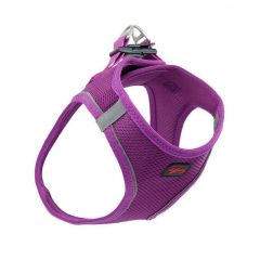 Tailpetz Mor Göğüs Tasması (XL)
