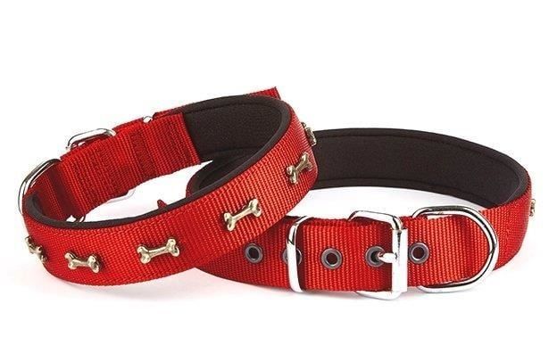 Doggie DSBT2523M Black Boyun Tasması