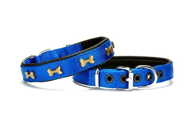 Doggie DSBT2523M Royalblue Boyun Tasması