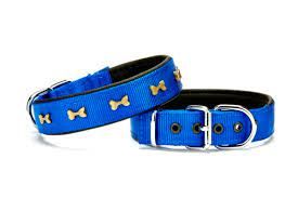 Doggie DSBT3062L Royalblue Boyun Tasması