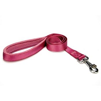 Doggie PGZT30M Purple Gezdirme Kayışı