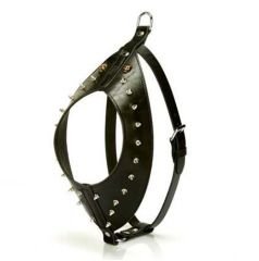 Doggie GLD10L Black Göğüs Tasması
