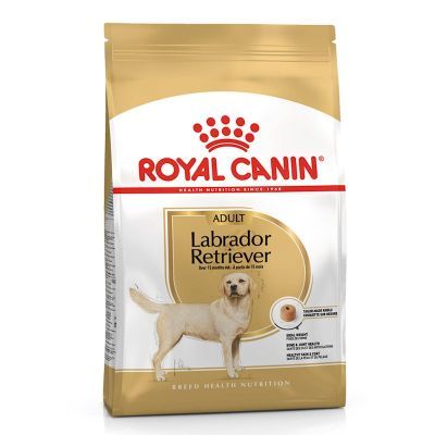 Royal Canin Labrador Retriever Irk Köpek Maması 12 Kg