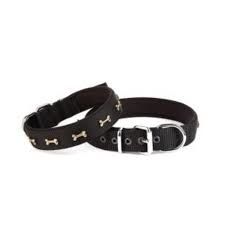 Doggie DSBT2562L Black Boyun Tasması