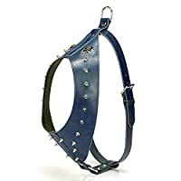 Doggie GLD10L Royalblue Göğüs Tasması
