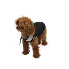 Pawstar Siyah Sport Yelek