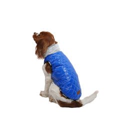Pawstar Mavi Moncler Yelek