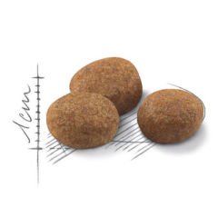 Royal Canin +7 Kısırlaştırılmış Yaşlı Kedi Maması 1,5 Kg