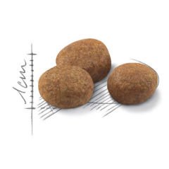 Royal Canin +7 Kısırlaştırılmış Yaşlı Kedi Maması 3,5 Kg