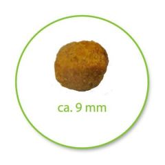 Royal Canin Indoor +7 Ev Kedileri için Yaşlı Kedi Maması 1,5 Kg
