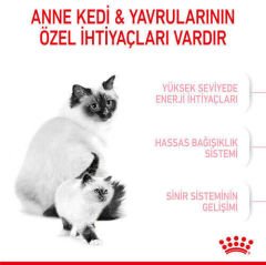 Royal Canin Kitten Yavru Kedi Maması 2 Kg