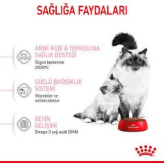 Royal Canin Kitten Yavru Kedi Maması 2 Kg