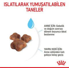 Royal Canin Kitten Yavru Kedi Maması 2 Kg