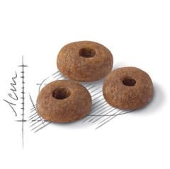 Royal Canin Regular Fit 32 Yetişkin Kedi Maması 400 Gr